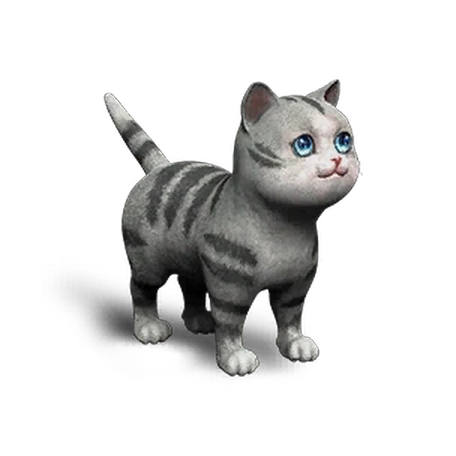 Extradimensional Cat
