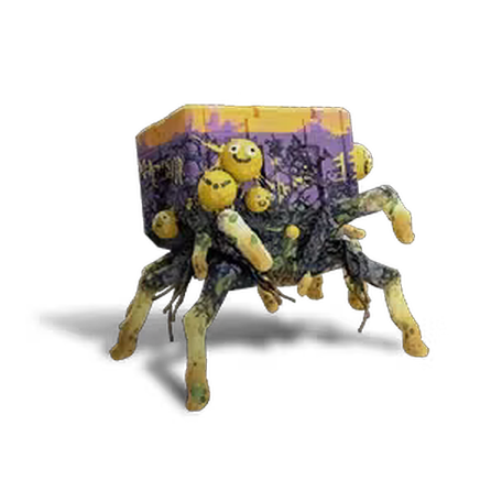 Wish Box